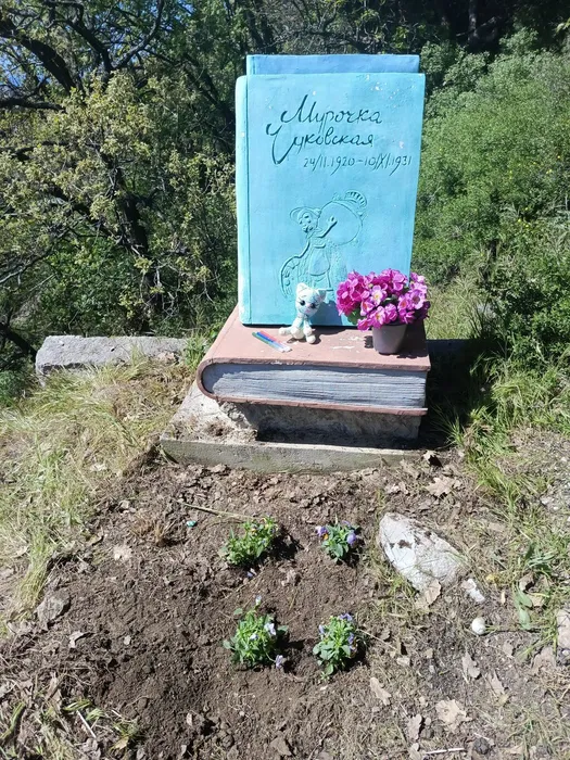 IMG_20260425_110052_867