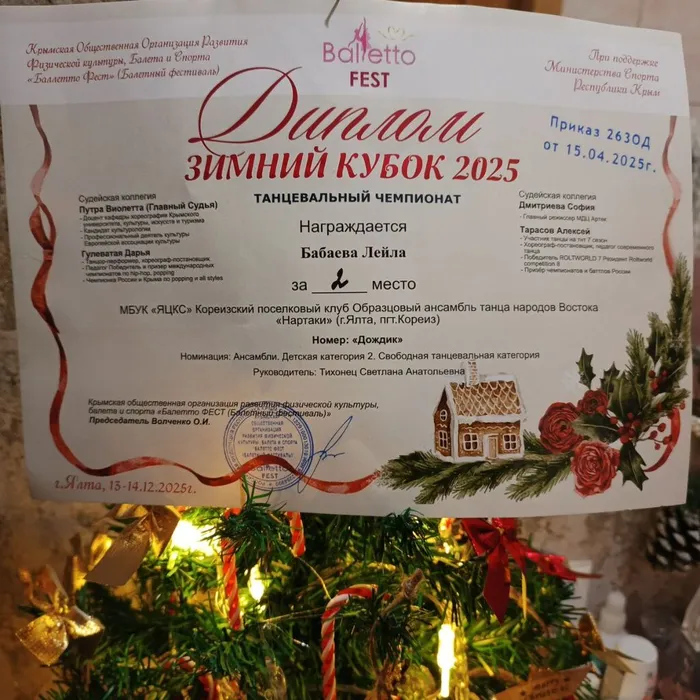 IMG_20251215_200658_101