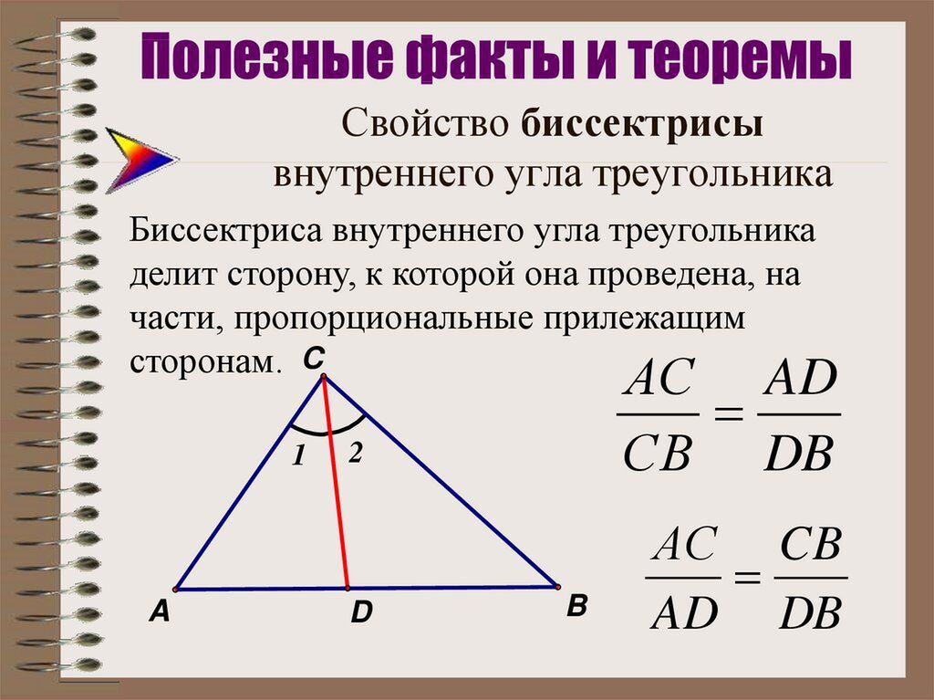 биссектриса в треугольнике